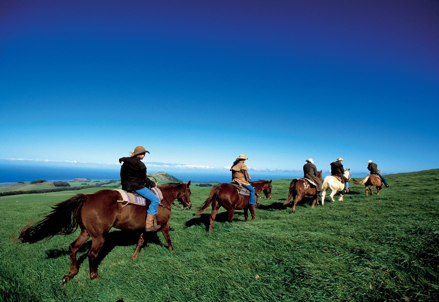 horseback riding with a recovery family